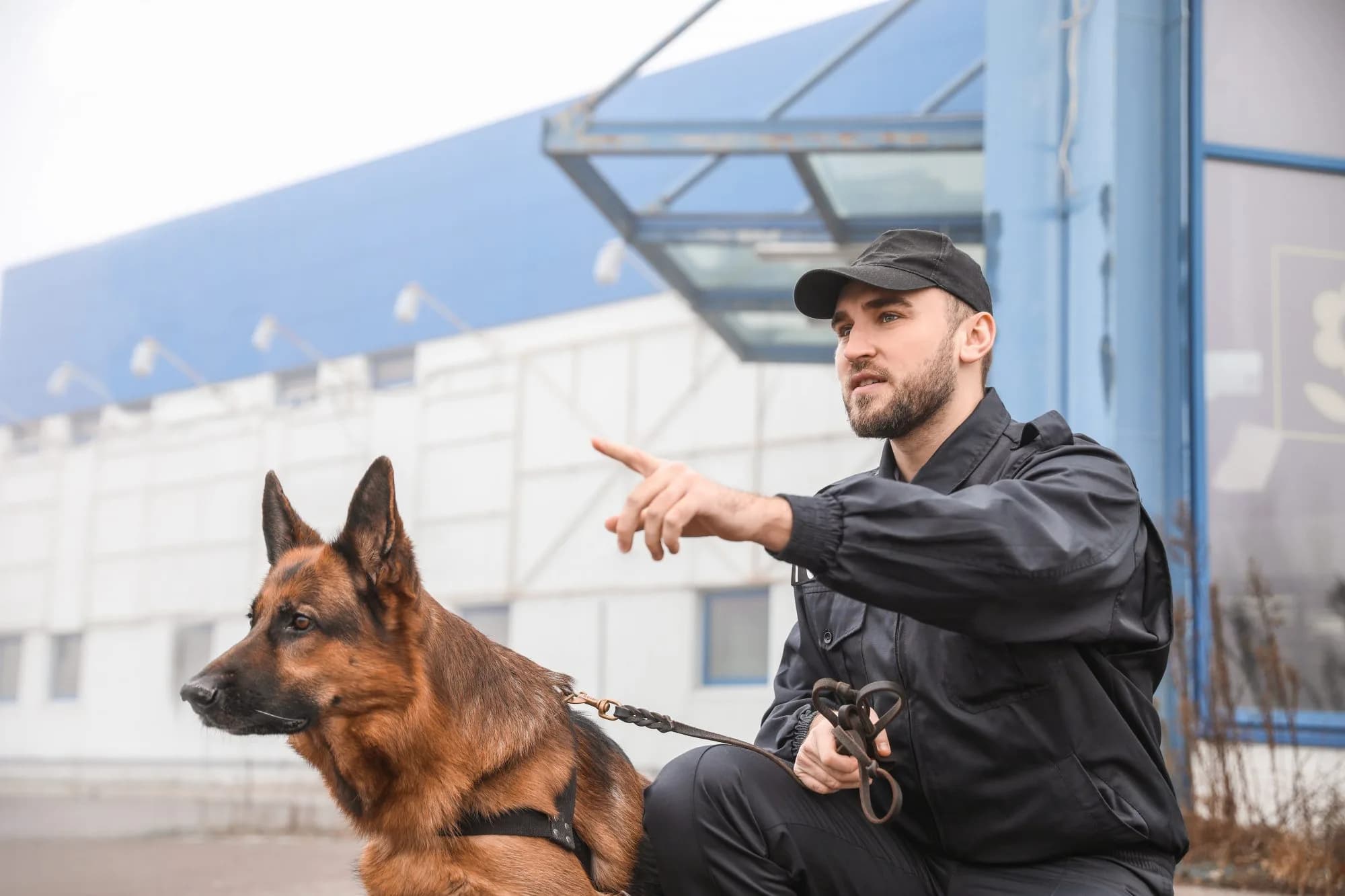 Intervention et rondes avec agents cynophile